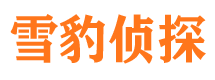 玄武寻人公司